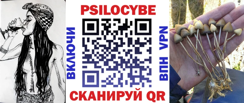 Галлюциногенные грибы Cubensis  наркота  Малая Вишера 